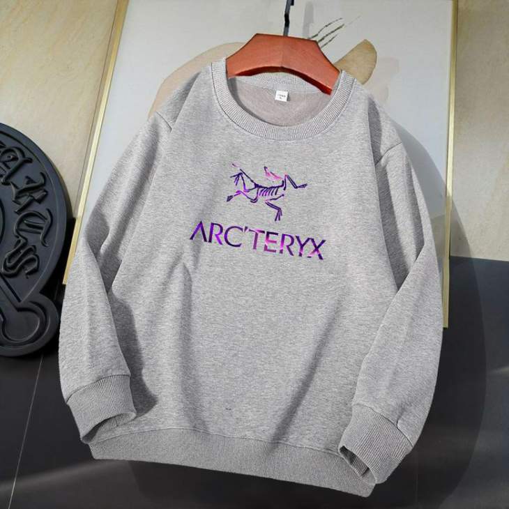 Picture of Arcteryx Sweatshirt _SKUArcteryxM-4XL11Ln0929493